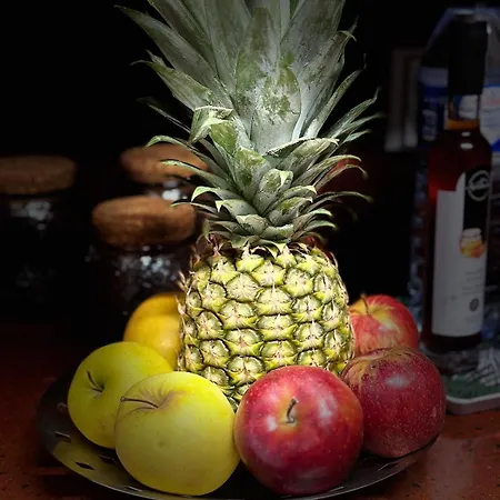 Hostel Azor International *