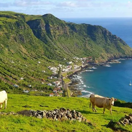 Azor International אכסניה Ponta Delgada