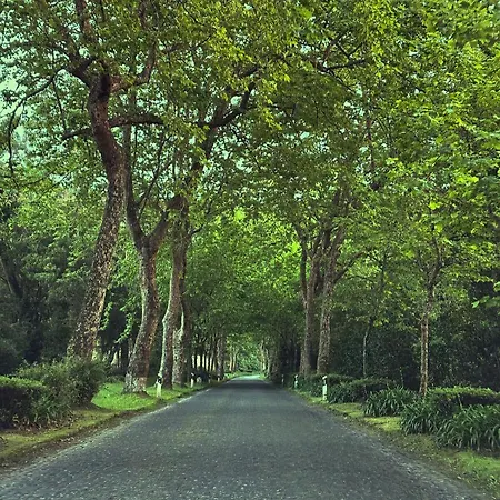 Hostel Azor International *