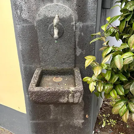 Hostel Azor International *