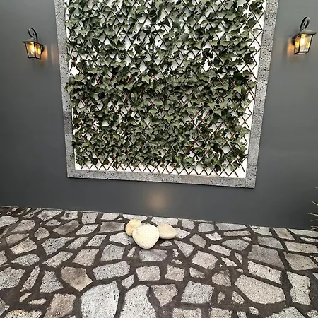 Hostel Azor International