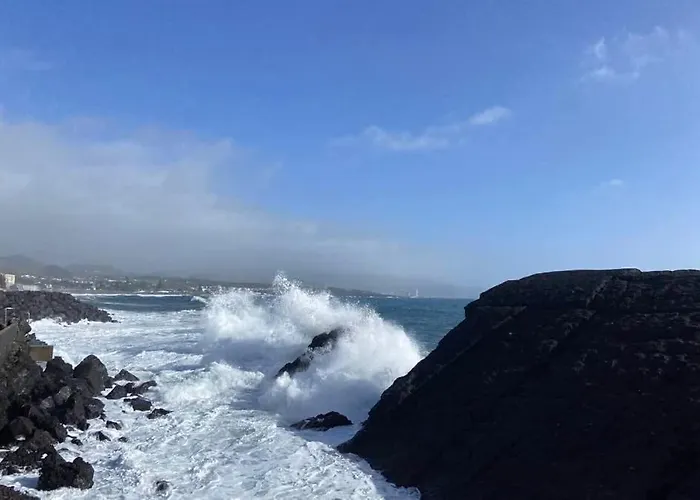 Azor International אכסניה *