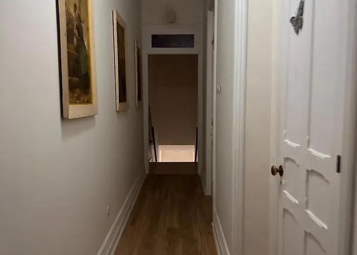 אכסניה Azor International