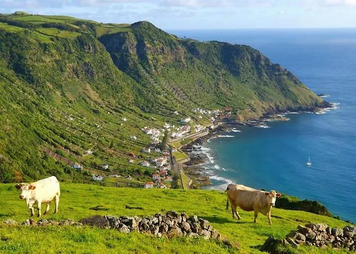 Azor International אכסניה Ponta Delgada