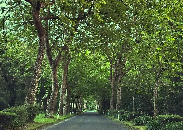 אכסניה Azor International *