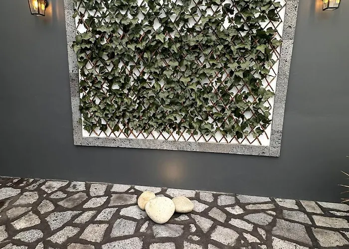 Hostel Azor International